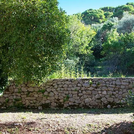 Ξενοδοχείο Adriatic 2*